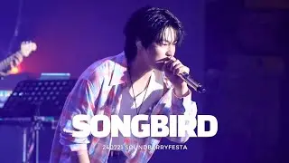 240721 사운드베리 페스타 -  Songbird (승협 직캠) | 엔플라잉 | N.Flying | KBS아레나