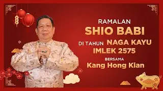 Ramalan Shio Babi di Tahun Naga Kayu 2024 Bersama Kang Hong Kian | Sonora Fengshui