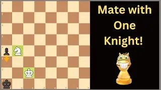 Checkmate with 