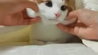 Ржач до злез смотреть