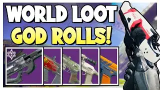 NEW World Loot Pool Weapons GOD ROLL GUIDE! Ranked Best to Worst | Destiny 2 Weapon Guide