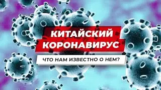 КОРОНАВИРУС ➤ ЧТО ПРОИСХОДИТ? ➤ ЭТО ДОЛЖЕН ЗНАТЬ КАЖДЫЙ!! ➤ СТРАШНЫЙ КИТАЙСКИЙ ВИРУС!!