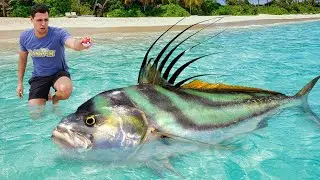 POKÉBALL CATCHES MONSTER FISH