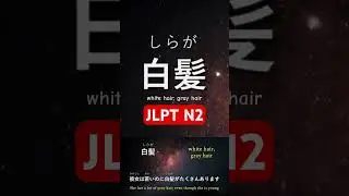 JLPT N2 with Sentence 
