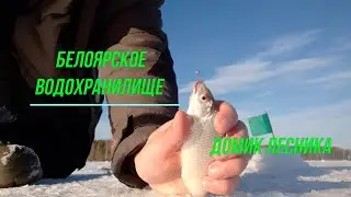 Рыбалка на Белоярском водохранилище. Домик лесника.