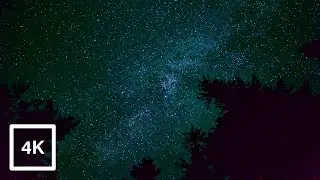 Lost Lake Oregon Trail | Trail Highlights | Camping & Hiking In The PNW