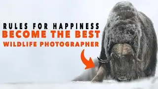 How to become a wildlife photographer