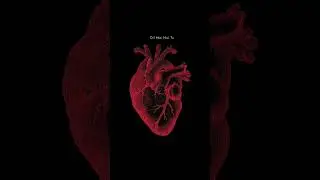 Heart Animation Using HTML CSS |#heartanimation #shortvideo #shorts #youtubeshorts #webdevelopement