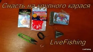 Ловля карася. Уловистая снасть на крупного карася.