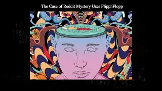 The Case of Reddit Mystery, User FlippnFlopp