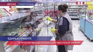 В России введен всеобщий масочный режим