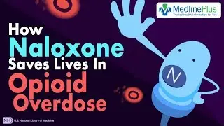 How Naloxone Saves Lives in Opioid Overdose