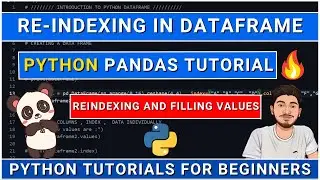 #Python Reindexing in Pandas Dataframe : A Hands-On Tutorial