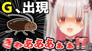 配信中にゴキブリに襲撃され事件性のある悲鳴をあげてしまう周防パトラ【切り抜き/ポケモンSV/ゼロの秘宝】