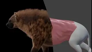 Hyena making plus muscle system creation using modifiers with blender