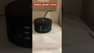 Алиса знает кто с ней разговаривает | фишки Алисы 🫡❤️ #алиса