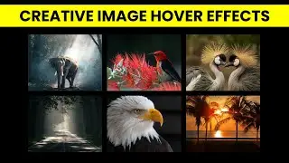 How To Create Image Hover Effects Using Html and CSS