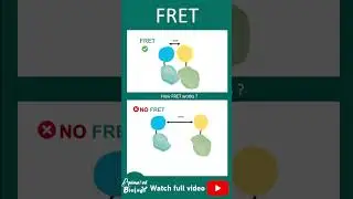 FRET | 1 minute biotechnique