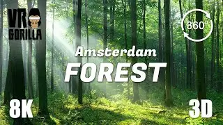 The Amsterdam Forest in Springtime - 8K 3D 360 Video (short)