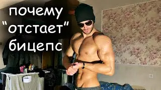 Про отстающие мышцы и тупых людей