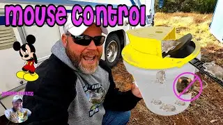 How to REALLY Keep Mice Out - Best Mouse & Rat Traps & Deterrent