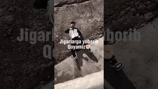 Jigarlarga yuborib qo'yamiz