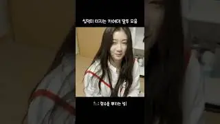 씹덕미 터지는 카에데 말투 모음 #트리플에스 #카에데 #tripleS #카에데