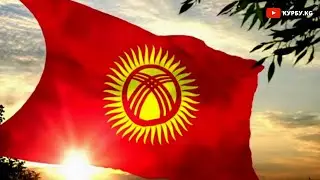 КЫРГЫЗ ТИЛИ күнү: Дүйнөнүн булуң-бурчунан куттуктаган МЕКЕНДЕШТЕР / КУРБУ KG