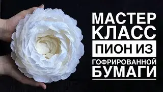 Мастер-класс пион из гофрированной бумаги или как утилизировать обрезки/DIY CREPE PAPER PEONIES