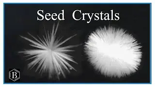 Seed Crystals (in real time)