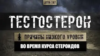 287. Низкий уровень тестостерона на анализах во время курса ААС (Химический бункер)