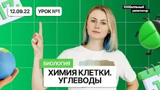 Химия клетки. Углеводы | БиоФак 2023 | Ксения Напольская | 100балльный репетитор