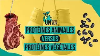 Un Monde Sain | Protéines animales versus protéines végétales