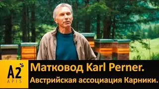 Матковод Карл 