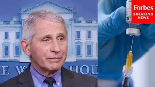 Fauci Explains State Of Research Into Vaccine For All Coronaviruses