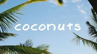 MBB — Coconuts