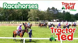 🏇🏻🐎🏇🏻Let's Go Racing | New Tractor Ted Trailer | Tractor Ted Official Channel