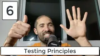 6 Testing Principles