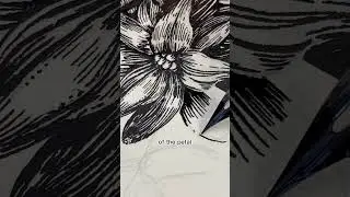 Botanical Ink Sketch Process