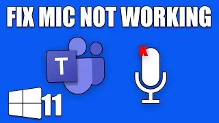 How to Fix Microphone not Working on Microsoft Teams[Windows 11]