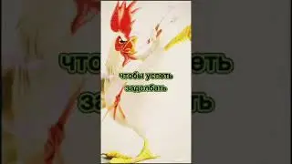 С добрым утром! Отправь видео другу:)