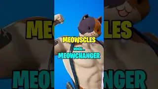 Cat voice changer? MEOWCHANGER! #meowscles #fortnite #meow #gaming meow voice changer