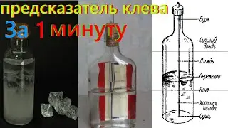 Супер Предсказатель Клева. За 1 минуту. Лайфхаки для рыбалки. советы для рыбалки