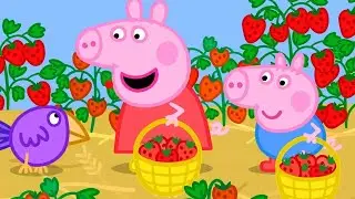 The Strawberry Farm 🍓 | Peppa Pig Official Full Episodes