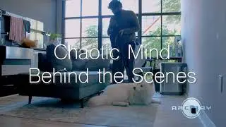 Chaotic Mind BTS - featuring my pup :)