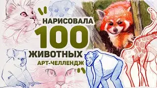 Рисую 100 ЖИВОТНЫХ за 3 ДНЯ // Арт Челлендж