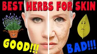 BEST HERBS for SKIN heatlh - Herbs for wounds, acne, aging & more!