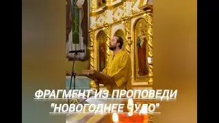 Фрагмент проповеди. Рассказ "Новогоднее чудо"