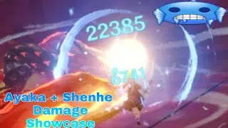Ayaka + Shenhe = DMG (Showcase)