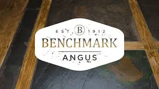 Ama’s Calico Beans Recipe | Benchmark Angus